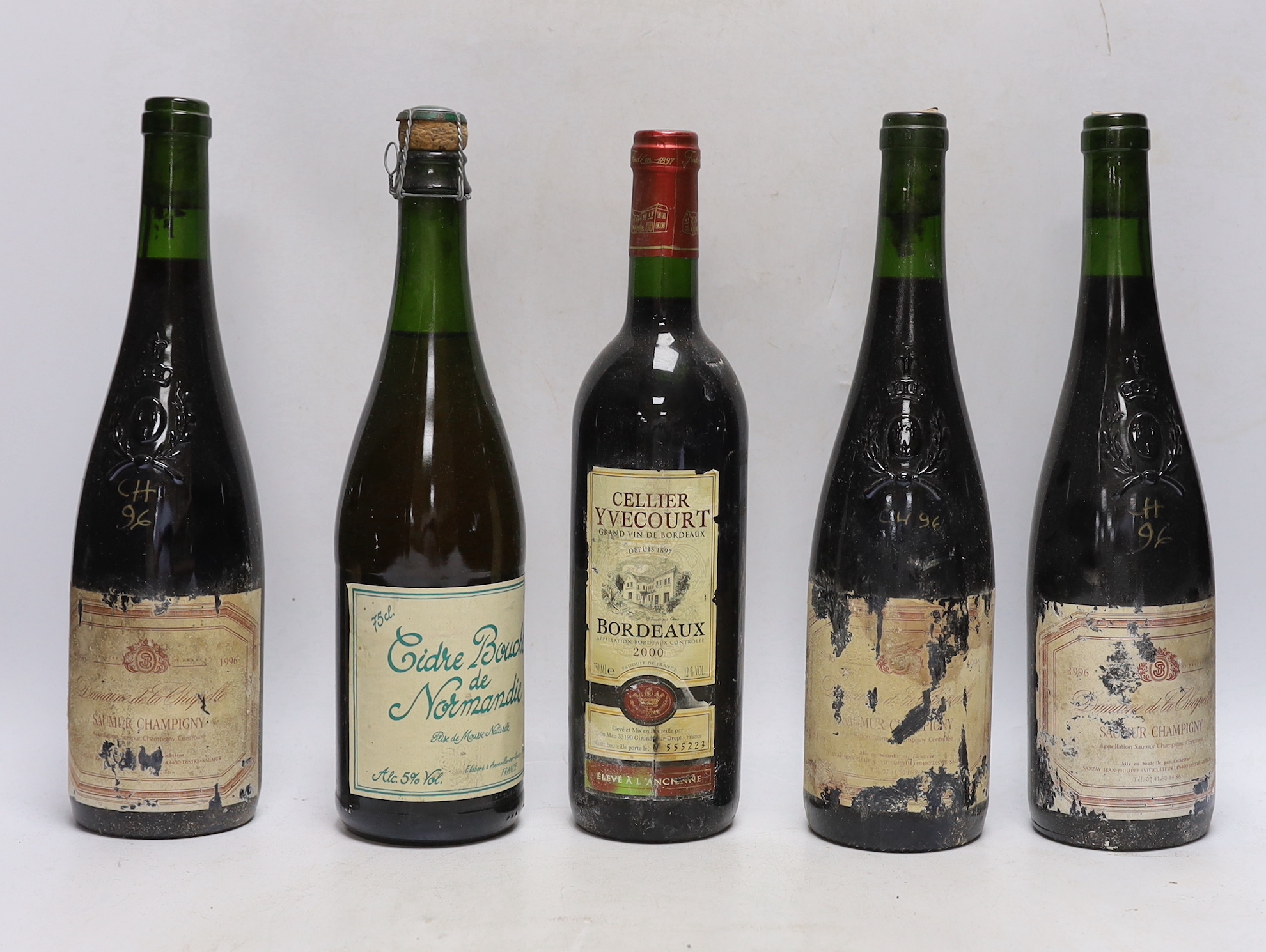 Twelve bottles of wine including nine Saumur Champigny 1996